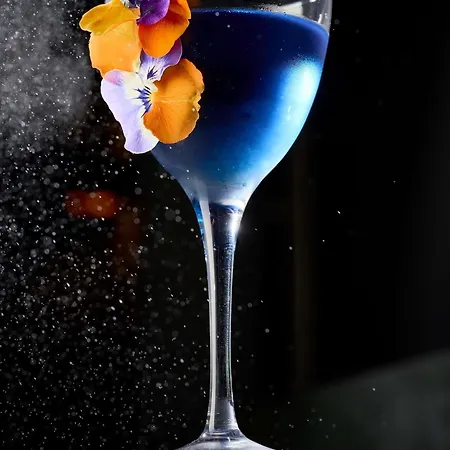 Pullman Montparnasse 4*