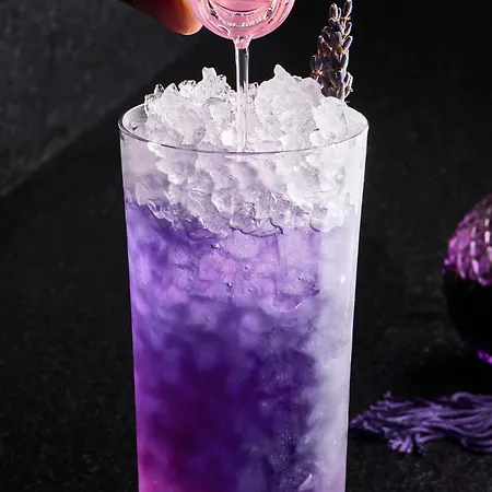 ホテル Pullman Montparnasse