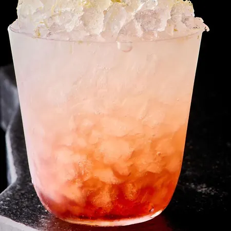 Pullman Montparnasse ホテル 4*